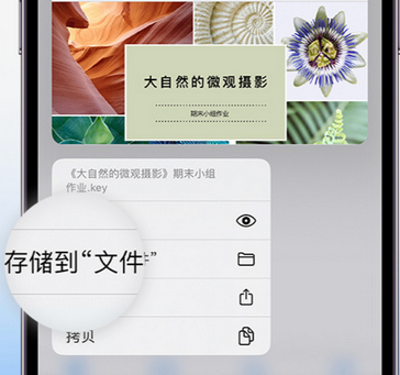 金溪apple维修中心分享iPhone文件应用中存储和找到下载文件