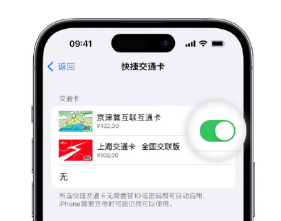 金溪apple维修点分享iPhone上更换Apple Pay快捷交通卡手绘卡面 