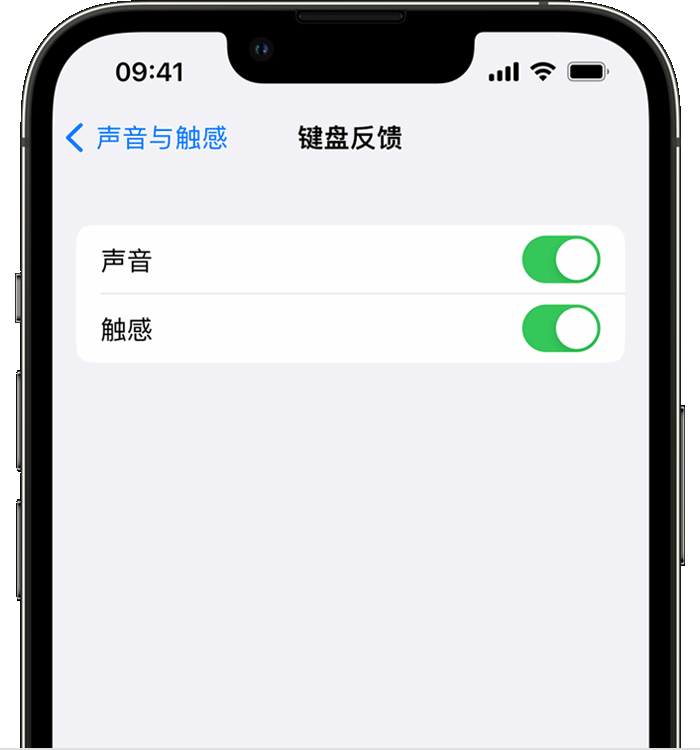 金溪苹果14维修店分享如何在 iPhone 14 机型中使用触感键盘 