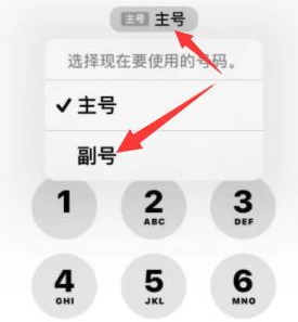 金溪苹果14维修店分享iPhone 14 Pro Max使用副卡打电话的方法 