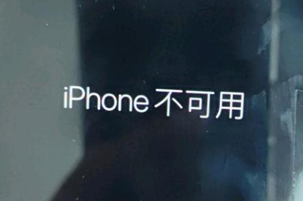 金溪苹果服务网点分享锁屏界面显示“iPhone 不可用”如何解决 