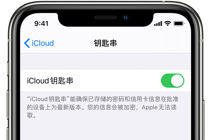 金溪苹果手机维修分享在 iPhone 上开启 iCloud 钥匙串之后会储存哪些信息 